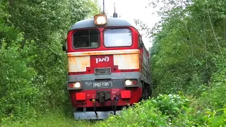 "По заповедным местам". ДМ62-1785 с пригородным поездом Тихвин — Будогощь