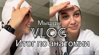 VLOG КАК Я СДАЛА ИТОГ ПО МЫШЦАМ ?