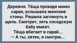 Теща Застала Зятя в Сарае с Соседкой! Сборник Свежих Анекдотов! Юмор!