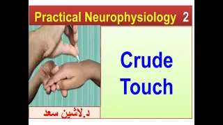 Practical Neurophysiology/Section 2/Crude touch/Lashinد.لاشين