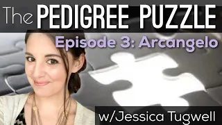 The Pedigree Puzzle Ep3- Arcangelo - Belmont Stakes  - Horse Racing w/Jessica Tugwell