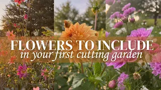 Best Cut Flowers to Grow When You’re Just Starting Out: Cut Flowers for First Year Flower Farming
