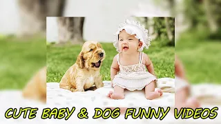 Cute Baby and Dog Funny Videos  -  Dogs Babysitting Babies - Cute Baby and Pets Videos