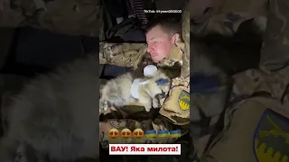 🥰 Це найкращий захисник!