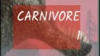 Dinosaur world mobile - Carnivore 1 - OST