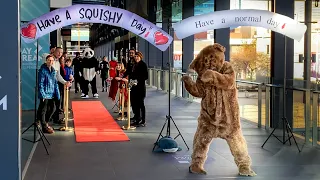 Teddy Giving Hugs to Strangers in Public