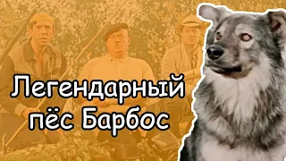 Как снимали комедию “Пёс Барбос и необычный кросс” (1961)