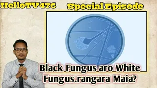 23.May.2021: Black Fungus aro White Fungus Maia.