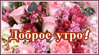 Я желаю утра доброго, Настроения самого бодрого. Хорошего дня!