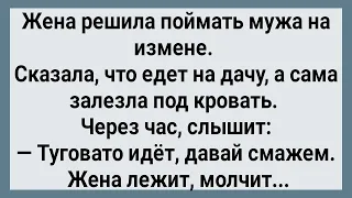 Как Жена Под Кроватью Измену Слушала! Сборник Свежих Анекдотов! Юмор!