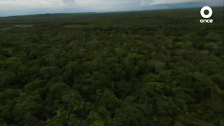 Especiales del Once - La ruta de la conservación del Tren Maya (13/07/2022)