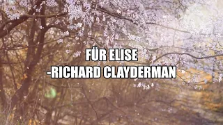 Für Elise - Richard Clayderman