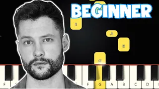 Calum Scott - You Are The Reason Beginner | Beginner Piano Tutorial | Easy Piano