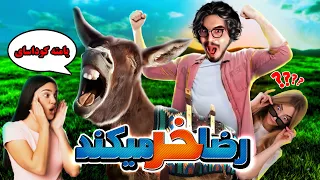 💥 رضا خر میکند - مینی چت | رضا فرشته || Reza Fereshteh 👄 minichat | 💥