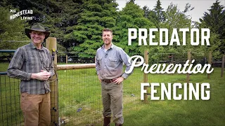 Predator Prevention Fencing with a Pro