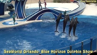 Blue Horizons Dolphin Show at SeaWorld Orlando