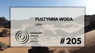 #205 - O Libii, Kaddafim i wodzie na pustyni (gość: Artur Urbański z Torre.pl)
