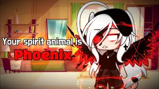 ❤️ Phoenix 🔥 || meme || gacha life || 가챠라이프 {Original Concept?}