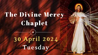 Divine Mercy Chaplet || 30 April 2024 || Tuesday