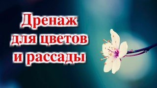 ДРЕНАЖ ДЛЯ ЦВЕТОВ И РАССАДЫ