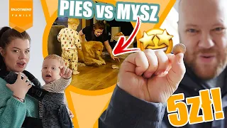 MYSZ w domu reakcja PSÓW! | Co robisz gdy znajdziesz 5 zł? | Pierwsze nowe słowo #274