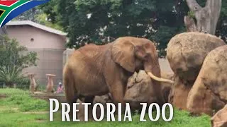 🇿🇦Pretoria Zoo Exploration 2023✔️