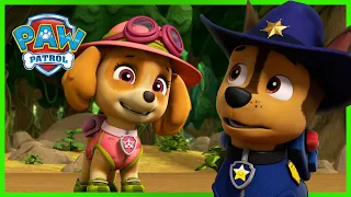 PAW Patrol Search for Tracker and MORE | PAW Patrol | Cartoons for Kids