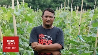 Bagas Suratman, mantan preman yang sukses jadi petani panutan - BBC News Indonesia