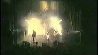 Bauhaus Spirit Live.mov