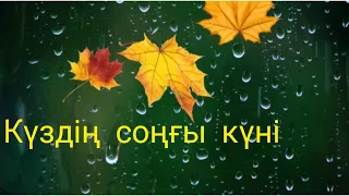 КҮЗДІҢ СОҢҒЫ КҮНІ САРЫ КҮЗ!#болған оқиға