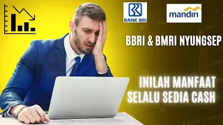 MANFAAT SEDIA CASH DI PORTOFOLIO SAHAM, STUDI PADA BBRI DAN BMRI YANG SEDANG TURUN DALAM