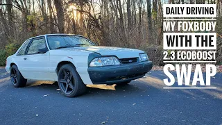 Daily driving a foxbody with a 2.3 ecoboost swap