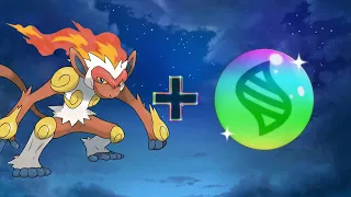 What if Ash Infernape Had Mega Evolution | Pokemon Mega Evolution Fusion 🧬🤯 | | AnimeXin |