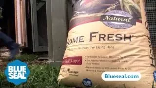 Blue Seal Feed Commercial  - Fresh Eggs Daily