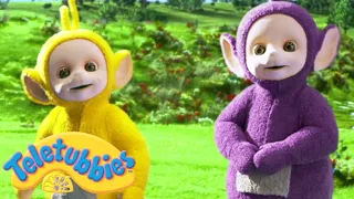 Teletubbies: Hiding | 1506 | Cartoons for Children