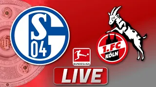 🔴FC Schalke 04 - FC Köln | Bundesliga 18. Spieltag | Liveradio