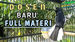 🔴 Suara Kacer Full Materi || Ngeri Calon Dosen Baru