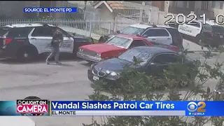 El Monte, CA Police Looking For Man After Patrol Cars Tires Slashed | Jeff Vaughn KCAL9
