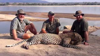 TJ Schwanky Leopard Hunt with Heritage Safaris