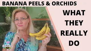 Banana Peels in Orchid Care: 3 Methods to Increase Potassium, But Only 1 Works