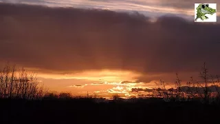 Krimi Hörspiel - Vor Sonnenaufgang - Bodo Traber