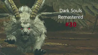 Dark Souls Remastered  #30  -  Королевский Лес и Страж Святилища