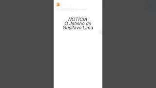 Jatinho de gustavo lima no valor de duzentos milhoes de reais