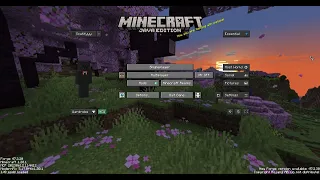 Im sorry to not post but i have a question how is this minecraft song called