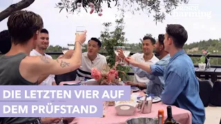 Trailer: Wer kommt ins Finale? ✨ | Prince Charming