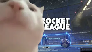 Cat vibing to Rocket League Intro [FHD]