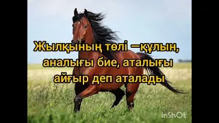 Үй жануарлары туралы