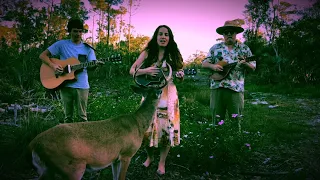 Sugartown by Nancy Sinatra (Cover with Key deer 🦌 )