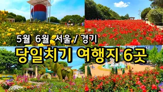 5월 6월 반드시 가야 하는 서울 경기도 당일치기 Best6 / 봄 꽃나들이 명소 봄축제 /여행지 추천 국내여행 서울근교 경기도여행 드라이브