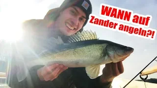 WANN musst Du auf Zander Angeln? Für ANFÄNGER!